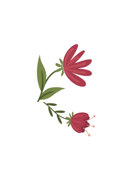 flores